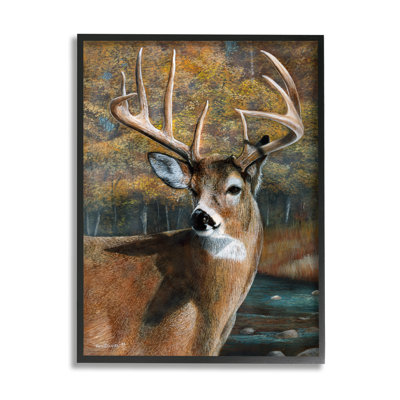 Art mural sur toile Stupell Industries Woodland