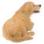 Extracteur de labrador à statue