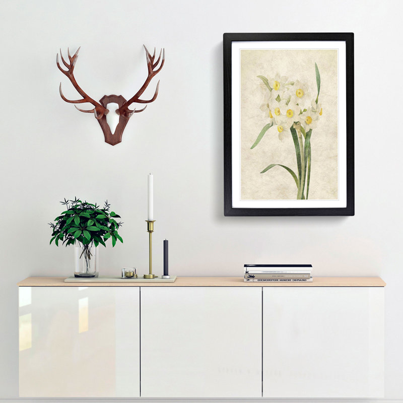 White Daffodils by Pierre-Joseph Redoute - Picture Frame Art Prints, Black Framed, 48cm H x 36cm W x 2cm D