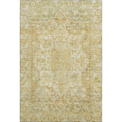 Premium Machine Washable Lucchesi AMF1728 Global Rug