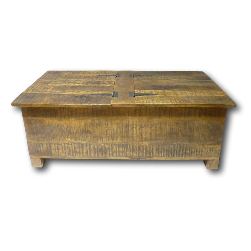 Table basse avec rangement coffre Galvez