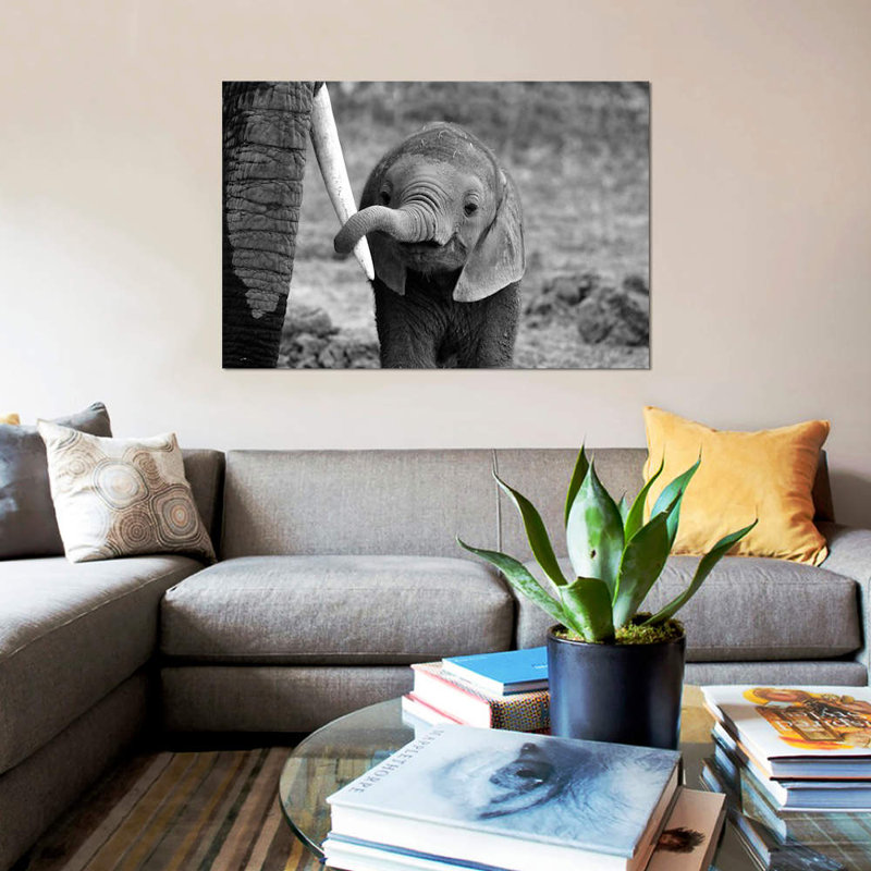 Bjoern Alicke - Wrapped Canvas Print, 101.6 cm H x 66.04 cm W x 3.175 cm D