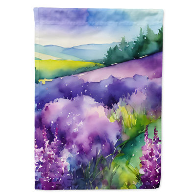 Double Sided 40'' H x 28'' W Polyester House Flag