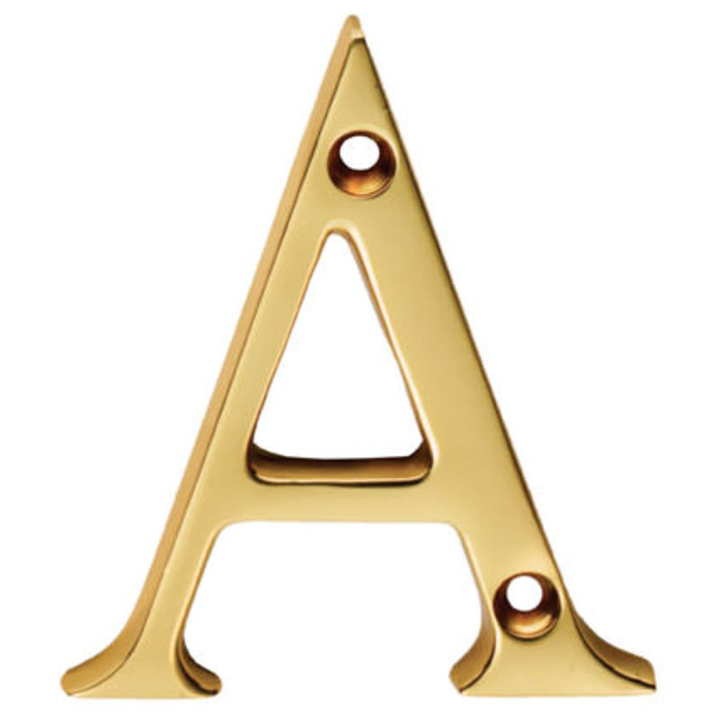 Tanisha 5.25cm H Brass Door Accessory, Polished Brass