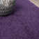 Athaniel Solid Color Machine Woven Polypropylene Area Rug in Purple