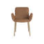 Upholstered Arm Chair