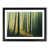 Black Framed
