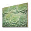 Vert plantes grasses - Art sur bois de pin naturel-101407937