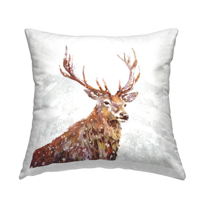 Throw Pillow