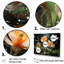 Fleurs colorées de plantes sauvages - impressions d'art mural-95884292-134603999