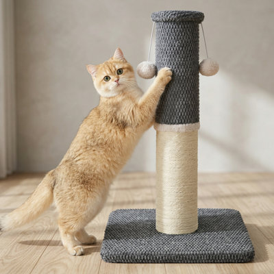 Tall Cat Scratching Post, 23.6 Inch Heavy-Duty Sisal Scratcher with Hanging Balls, Sturdy Base, Dark Grey