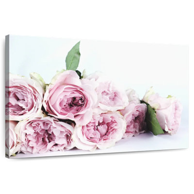 Harnek, couches de pivoines roses