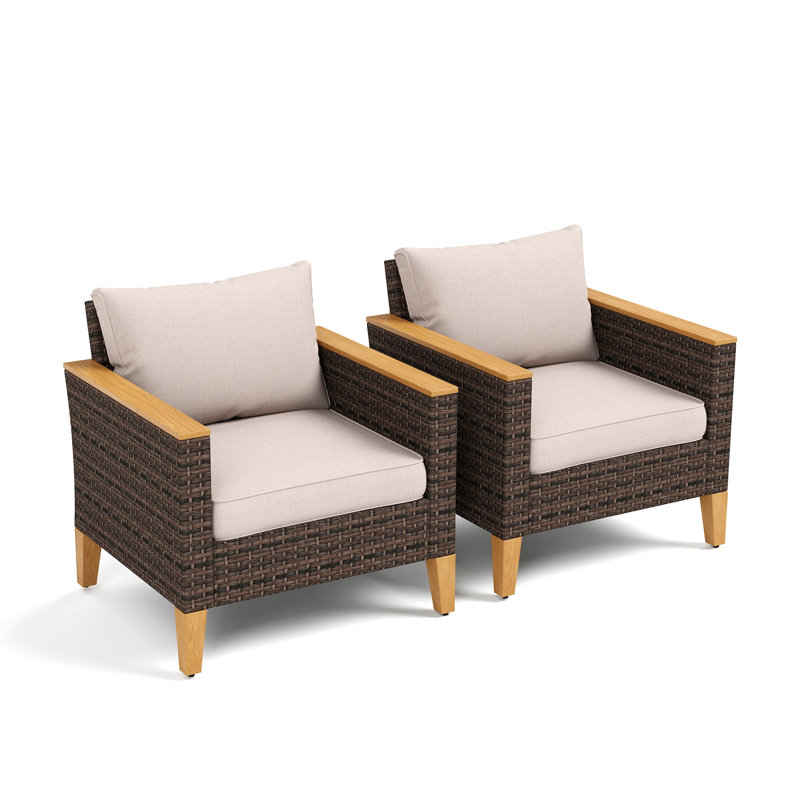 Ensemble de chaises d'extérieur en osier avec coussins (ensemble de 2)
