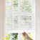 Cordless Blackout Vinyl Mini Window Blinds with 1 in. Slats