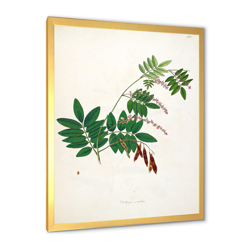 Botanique rétro - peinture sur toile, H 32 po x l 16 po x P 1 po, Cadre doré