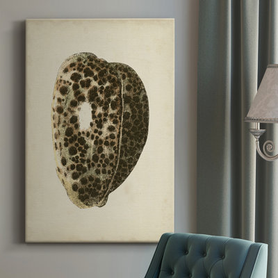 " Sealife Collection III "