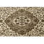 Tapis oriental Delaportilla