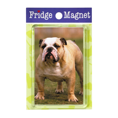 Fridge Magnet