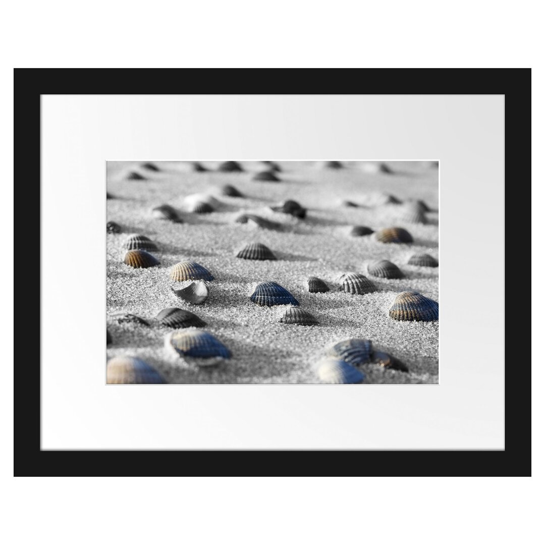 Muscheln im Sand Gerahmter Fotokunstdruck Poster