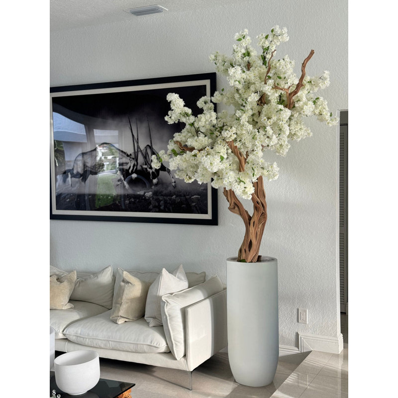 White Cherry Blossom Tree In Matte Planter, White