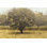 " Golden Trees I Taupe Crop " by James Wiens Painting