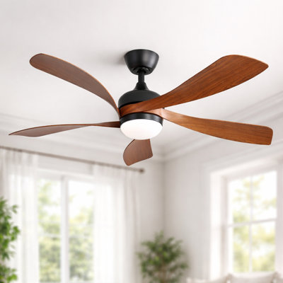 Ventilateur de plafond moderne à 5 pales de 52 po avec ensemble d'éclairage à intensité variable et télécommande TurboBreeze