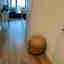 Customer photo 2 of 2