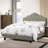 Angeleigh Upholstered Platform Bed-681042247-681042360