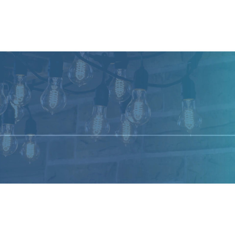 48-ft Black LED String Lights with Clear Shatter Resistant Bulbs