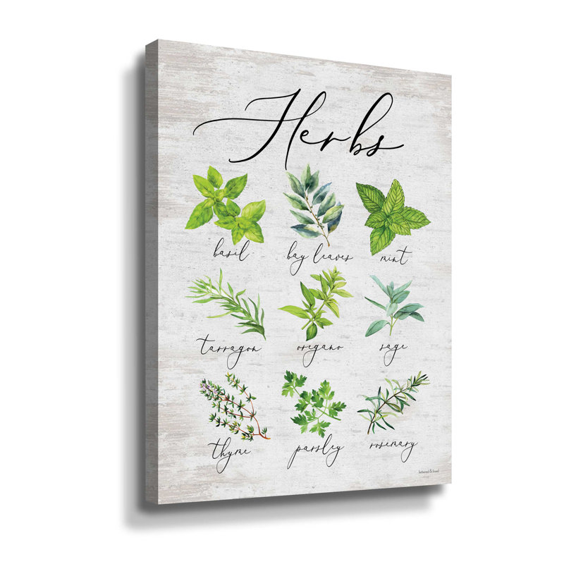 " Herbs " by Lettered & Lined, Wrapped Canvas, 24" H x 18" W x 2" D
