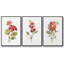 Ensemble de 3 pièces encadrées sur toile géranium écarlate-97706596-97706598