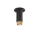 1 - Light Flush Mount