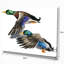 Canard coloré dessiné à la main, œuvre d’art blanche isolée-imprimé Sketch-29496439-35111707
