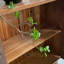 Armoire en bois massif de style Wabi-Sabi