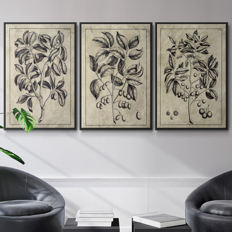 Ensemble de 3 pièces encadrées sur toile embellies Antique Foliage I, H 27 po x l 54 po, Cadre noir