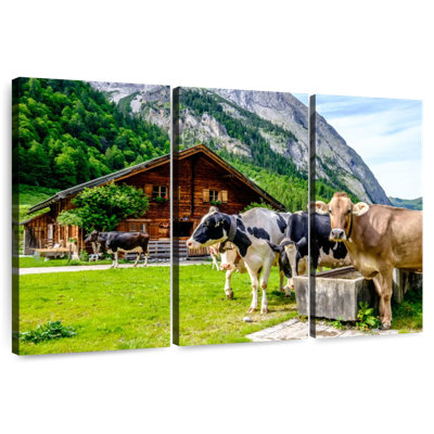 Brampt Karwendel Cows