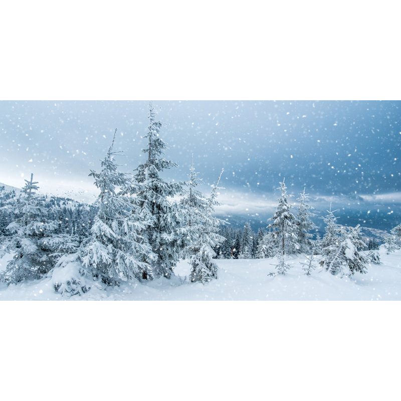 «Snowfall Over Mountain Forest», art mural sur toile, 24 po x 48 po