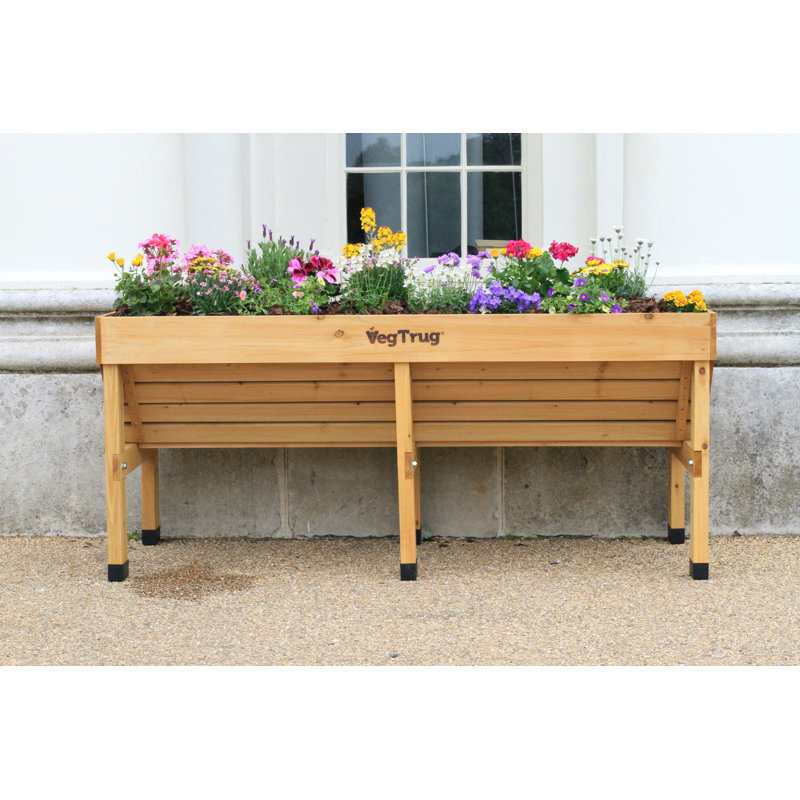 VegTrug medium medium - natural