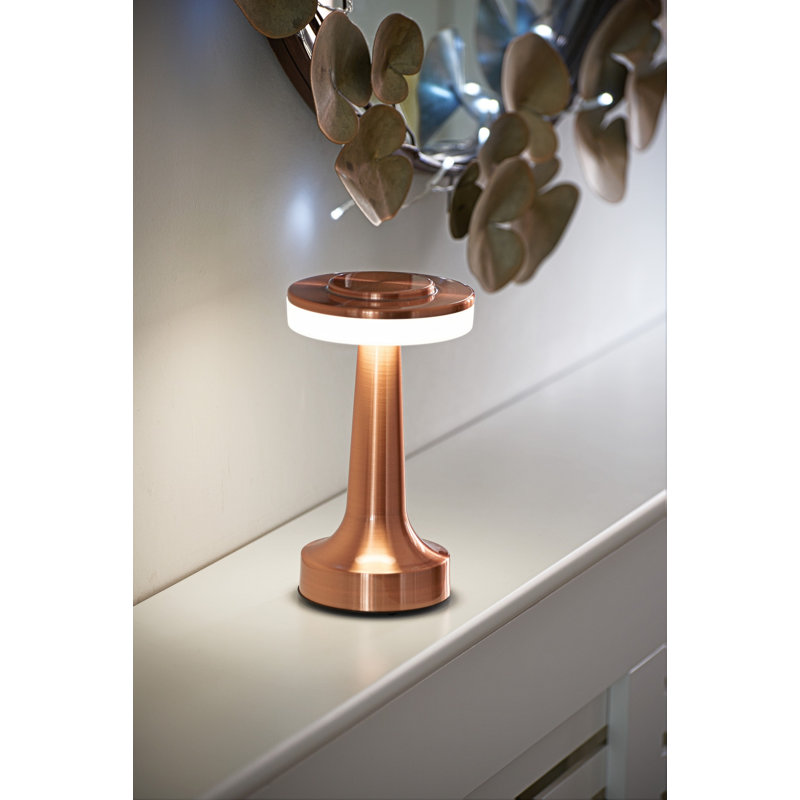 Metal Novelty Lamp, Copper