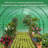 120" W x 120" D Greenhouse