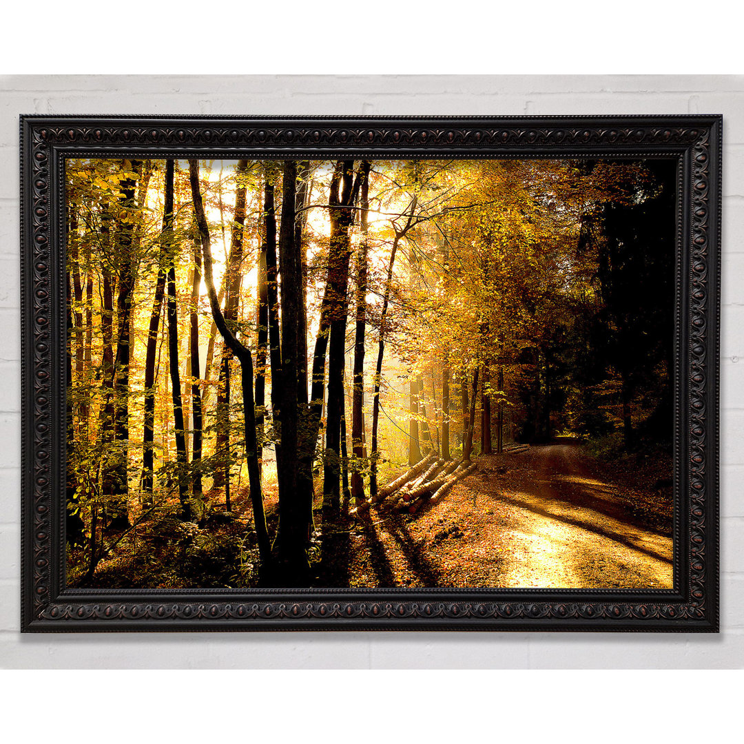 Beautiful Forest Road Autumn - Einzelne Bilderrahmen Kunstdrucke