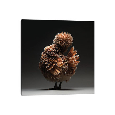 Padovana by CHICken - Wrapped Canvas Print