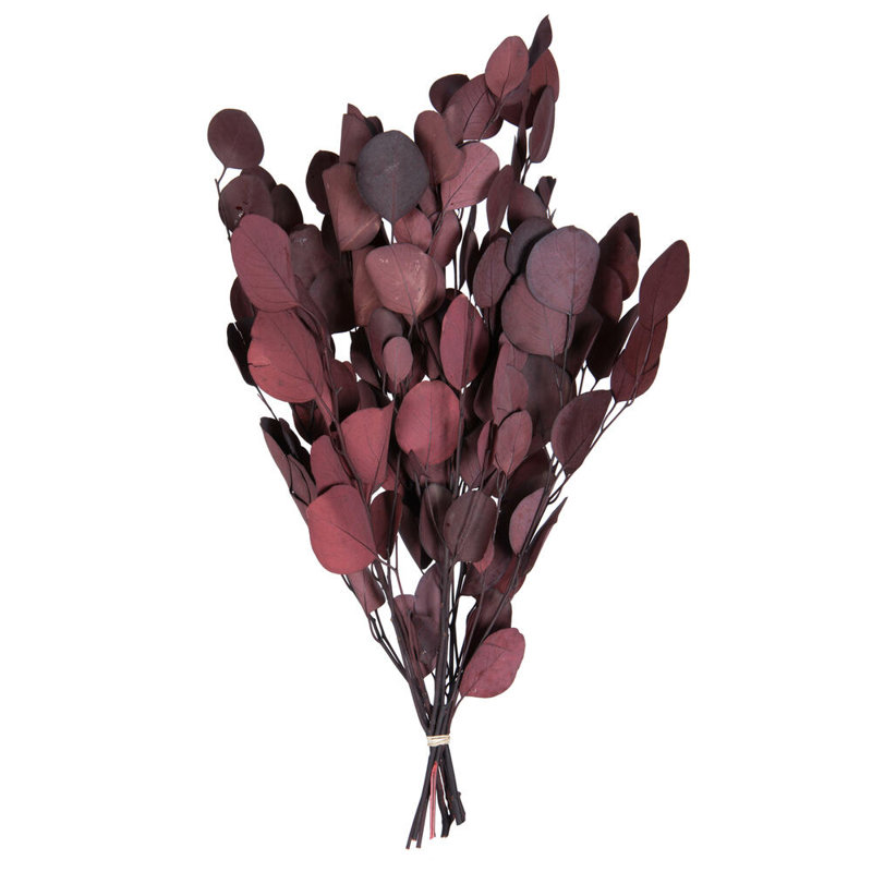 0.25'' Plant