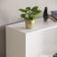 142cm H x 60cm W Standard Bookcase-70966728-28126288