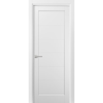 Pantry Kitchen Lite Pre-Hung Door With Hardware | Quadro 4115 | Single Panel Frame Trims | Bathroom Bedroom Sturdy Doors