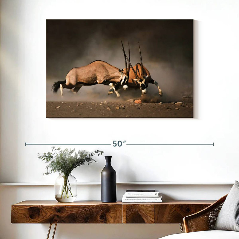 Brampt Dueling Gemsboks