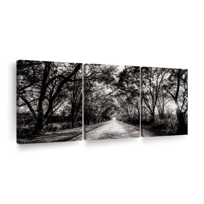 Ensemble de 3 pièces sur toile Trees BW Forest Path