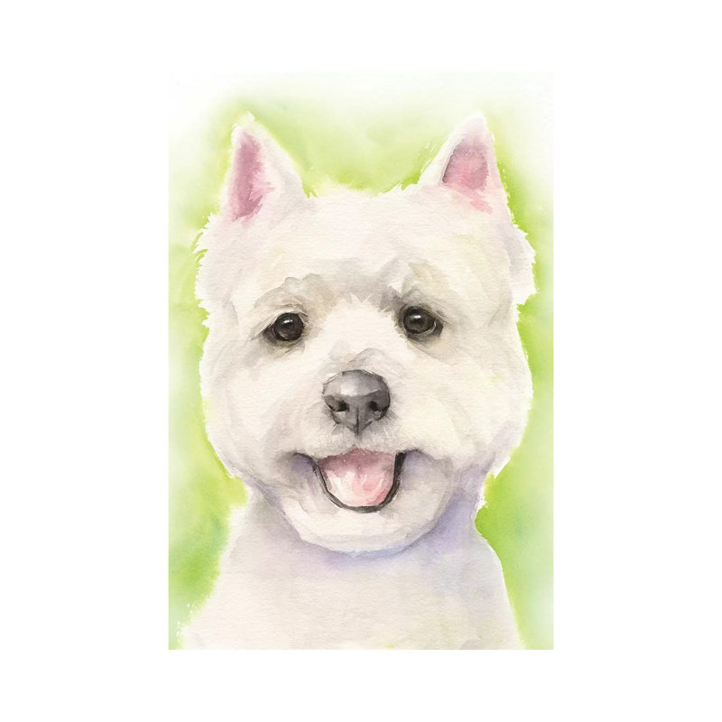 Westie by George Dyachenko - Wrapped Canvas Print, 20.32 cm H x 30.48 cm W