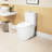 Elongated Ceramic Toilet, White, 1.1/1.6 , Comfort Height, Soft Close Seat, & , T036wt Elongated, Comfortable,