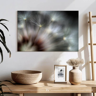 Harnek Dandelion Fireworks